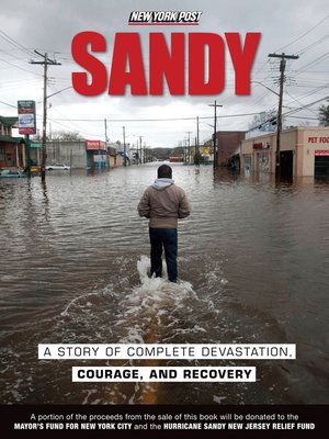 cover image of Sandy
